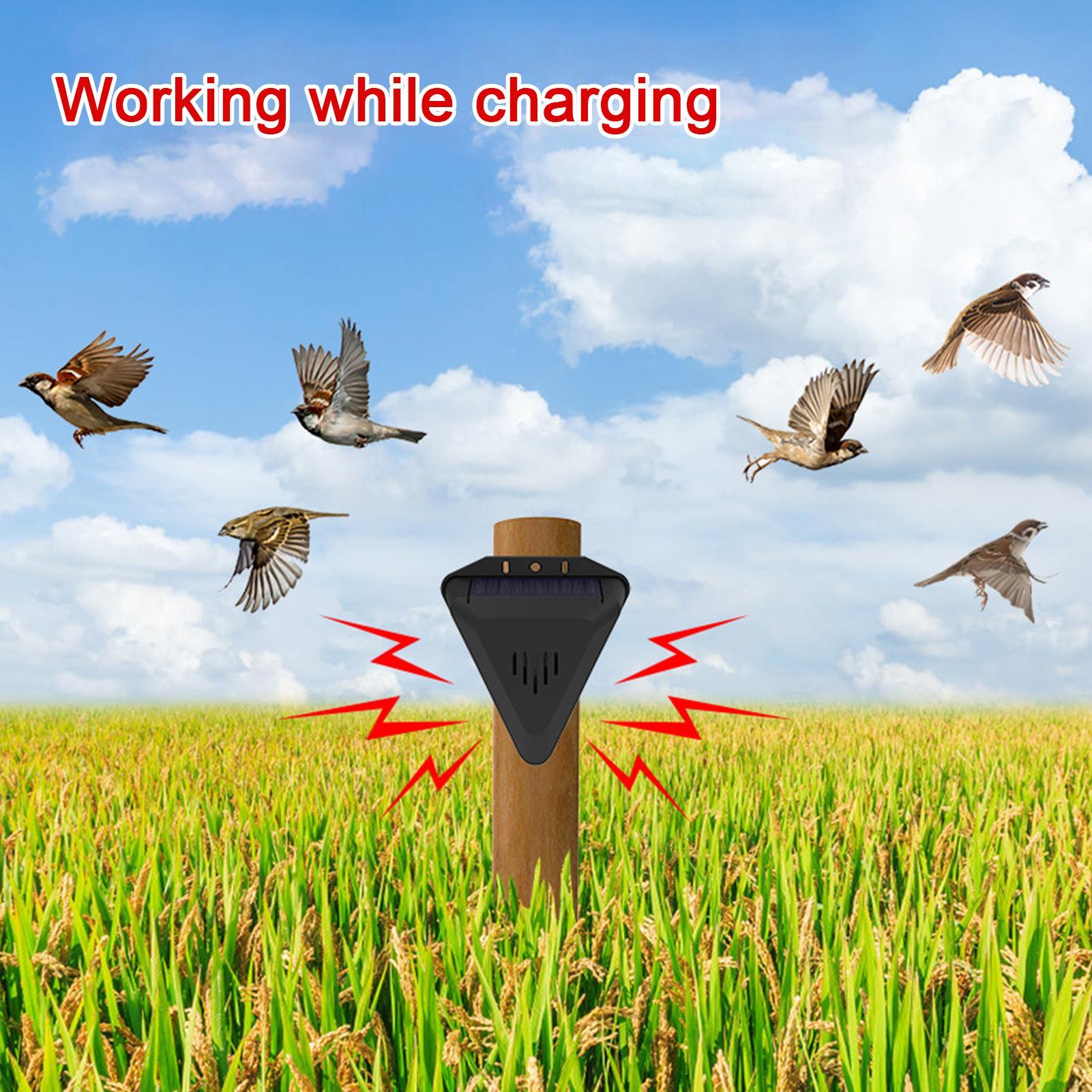 Solar Timer Bird Repeller With - Outdoor Power With Timer review and price