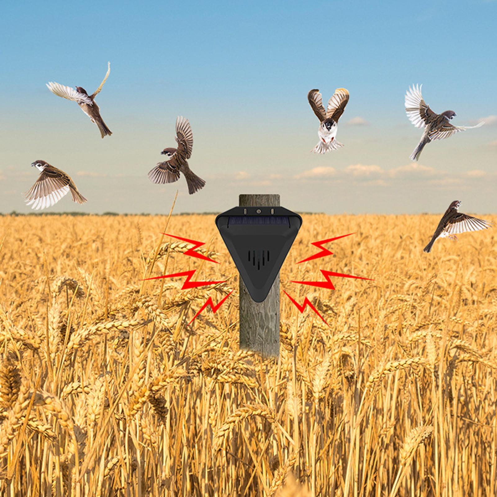 Solar Timer Bird Repeller With - Outdoor Power With Timer review and price