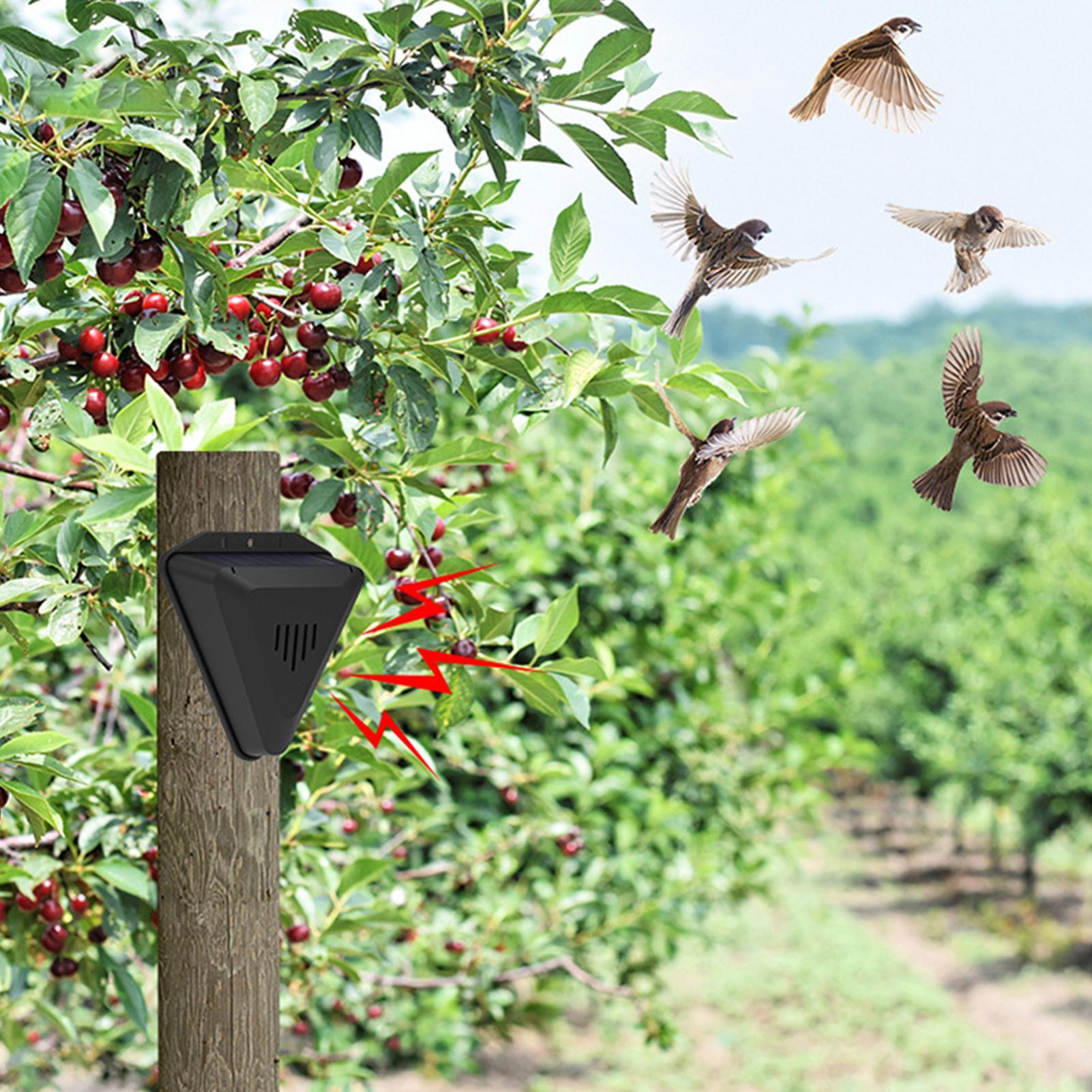 Solar Timer Bird Repeller With - Outdoor Power With Timer review and price